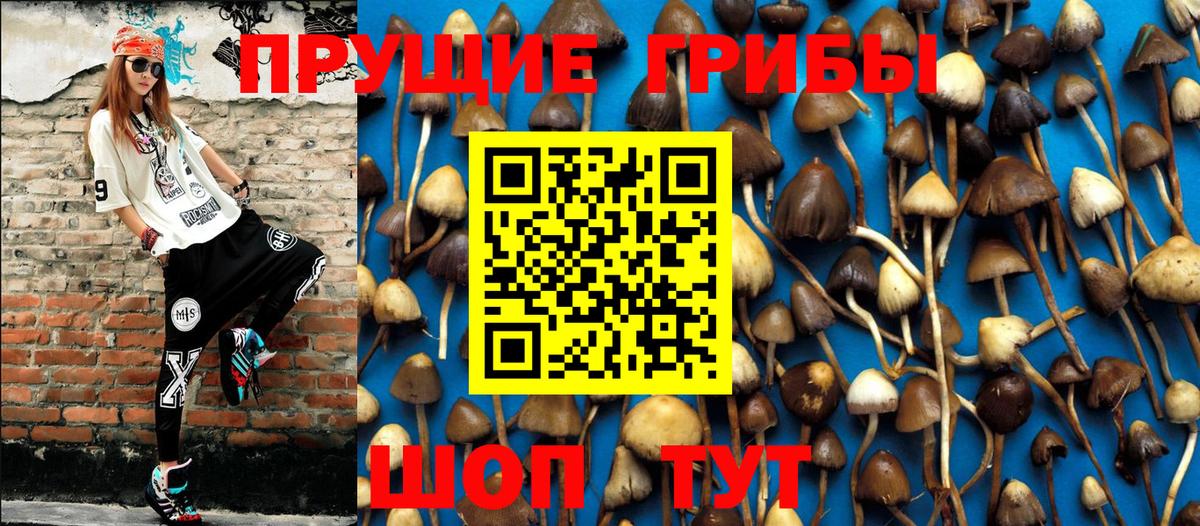 Псилоцибиновые грибы мухоморы Махачкала